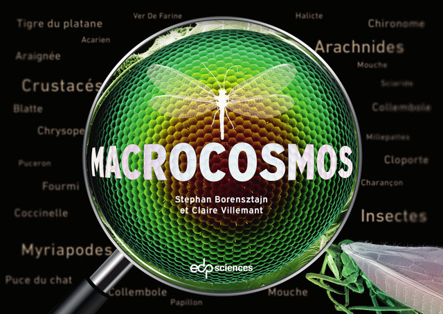 macrocosmos
